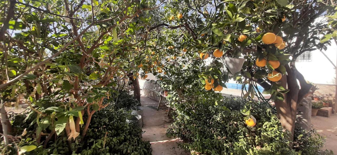 Cortijo Ferre, A Los Pies Del Castillo La Atalaya De Níjar Extérieur photo