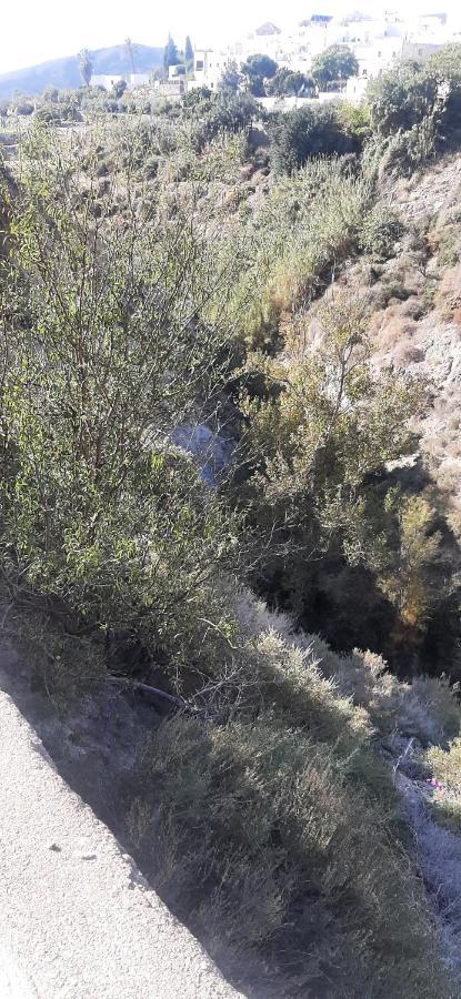 Cortijo Ferre, A Los Pies Del Castillo La Atalaya De Níjar Extérieur photo